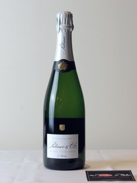 champagne palmer